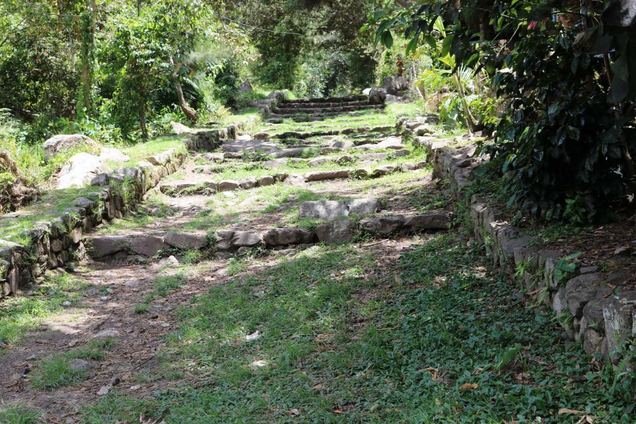 Llactapata Lodge Overlooking Machu Picchu - Camping - Restaurant Salcantay Ngoại thất bức ảnh