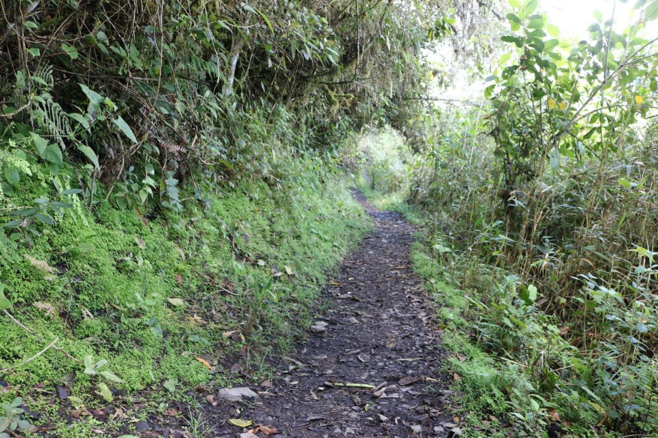 Llactapata Lodge Overlooking Machu Picchu - Camping - Restaurant Salcantay Ngoại thất bức ảnh