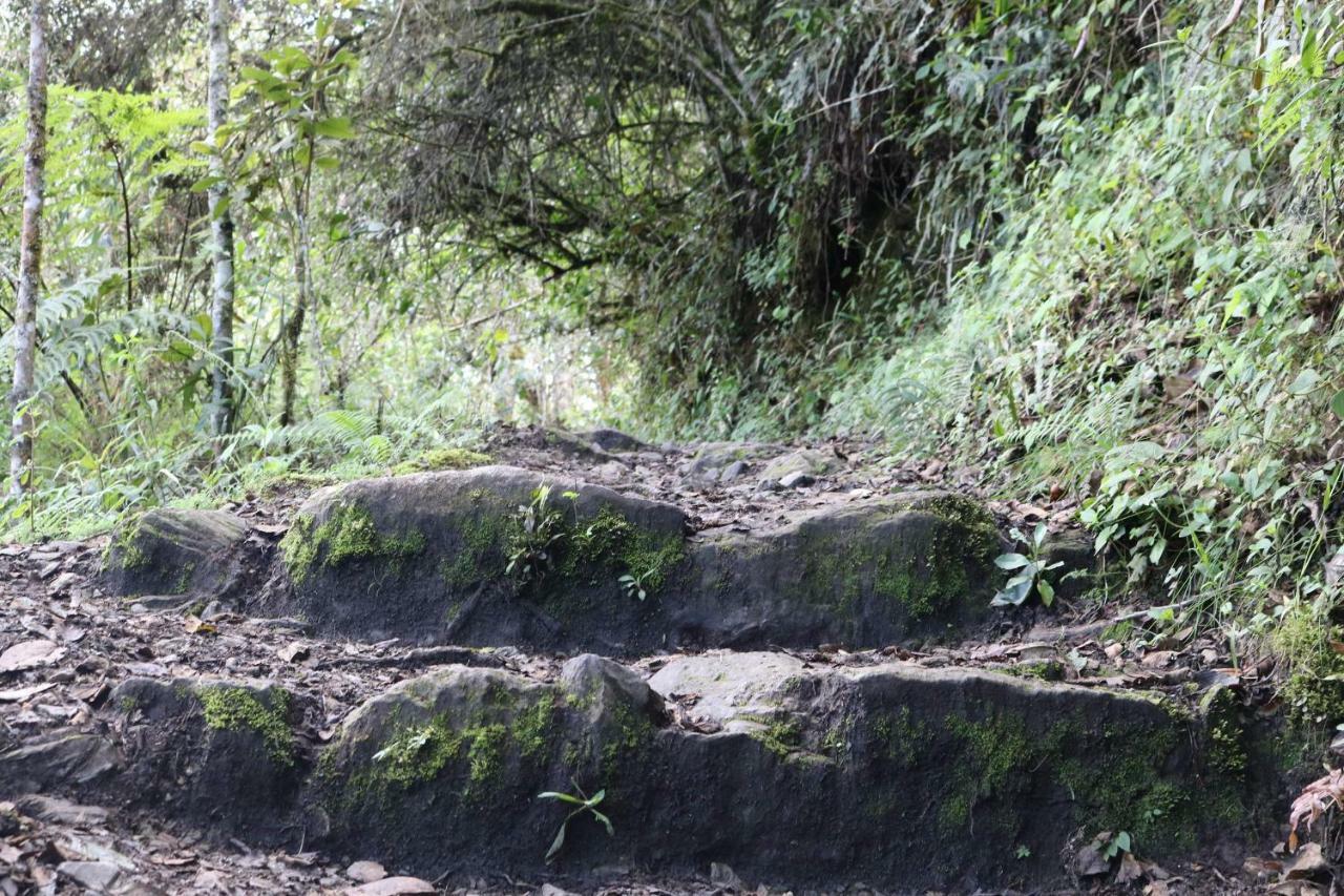 Llactapata Lodge Overlooking Machu Picchu - Camping - Restaurant Salcantay Ngoại thất bức ảnh